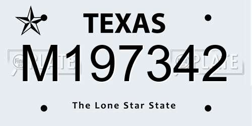 M197342 Texas License Plate