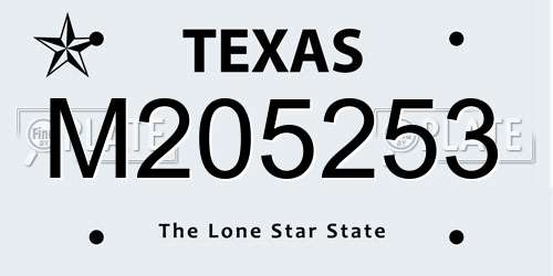M205253 Texas License Plate