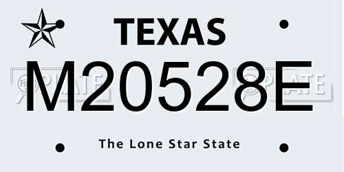 M20528E Texas License Plate