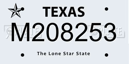 M208253 Texas License Plate