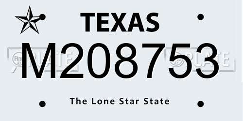 M208753 Texas License Plate