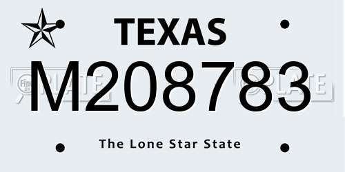 M208783 Texas License Plate
