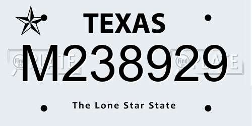 M238929 Texas License Plate