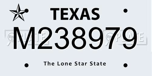 M238979 Texas License Plate
