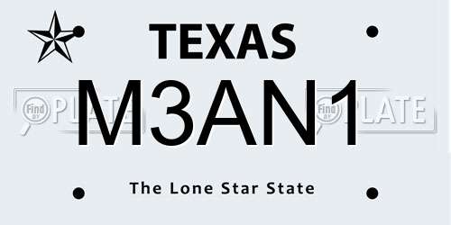 M3AN1 Texas License Plate