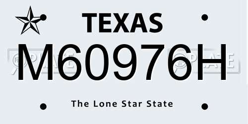 M60976H Texas License Plate