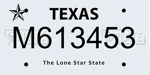 M613453 Texas License Plate