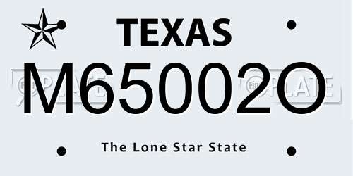 M65002O Texas License Plate
