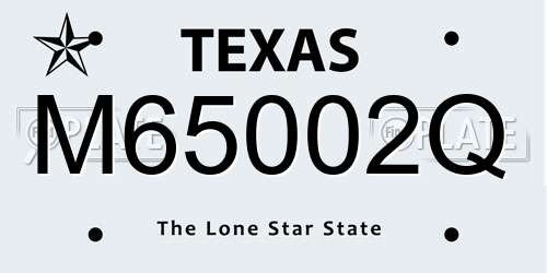 M65002Q Texas License Plate
