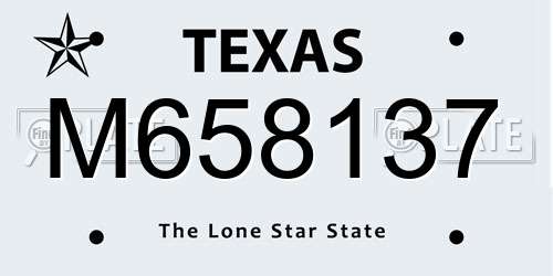 M658137 Texas License Plate