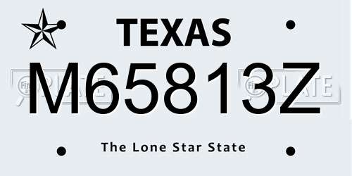 M65813Z Texas License Plate