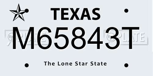 M65843T Texas License Plate