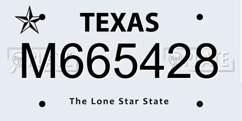 M665428 Texas License Plate