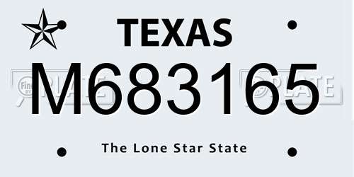 M683165 Texas License Plate