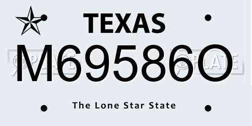 M69586O Texas License Plate