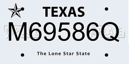 M69586Q Texas License Plate