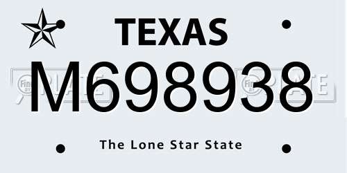 M698938 Texas License Plate