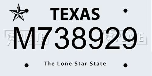 M738929 Texas License Plate