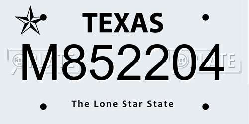 M852204 Texas License Plate