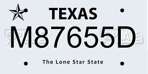 M87655D Texas License Plate