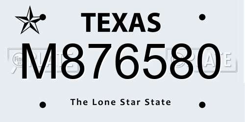 M876580 Texas License Plate