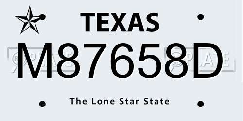 M87658D Texas License Plate