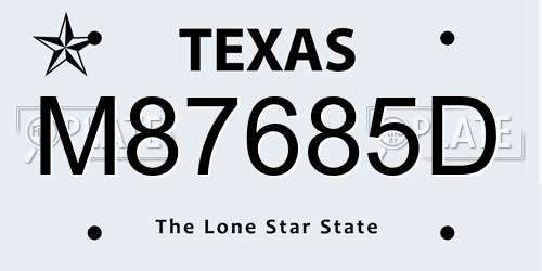 M87685D Texas License Plate
