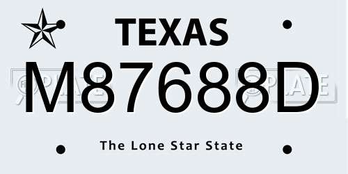 M87688D Texas License Plate