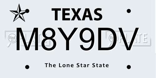 M8Y9DV Texas License Plate