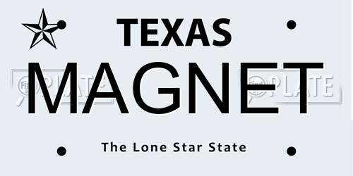 MAGNET Texas License Plate