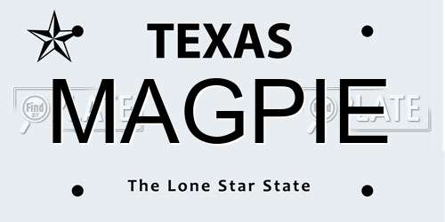 MAGPIE Texas License Plate