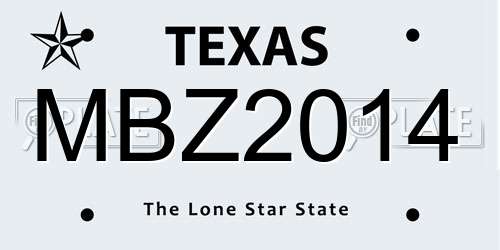 MBZ2014 Texas License Plate