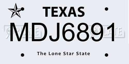 MDJ6891 Texas License Plate