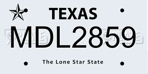 MDL2859 Texas License Plate