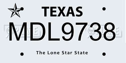 MDL9738 Texas License Plate