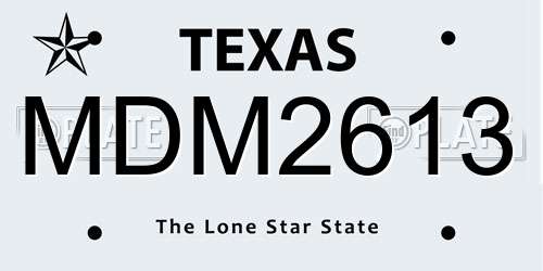 MDM2613 Texas License Plate