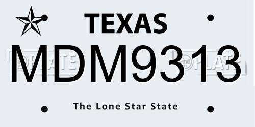 MDM9313 Texas License Plate