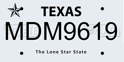 MDM9619 Texas License Plate