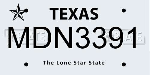 MDN3391 Texas License Plate