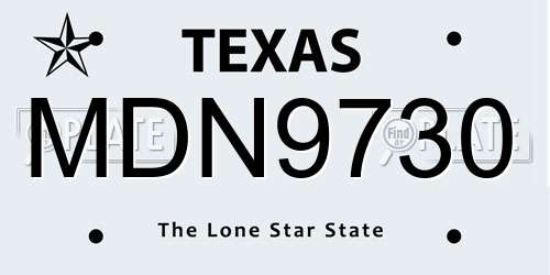 MDN9730 Texas License Plate