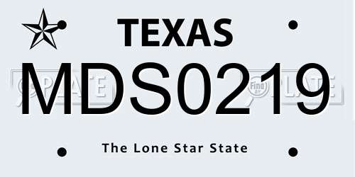 MDS0219 Texas License Plate