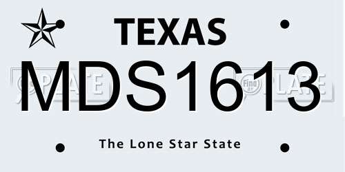 MDS1613 Texas License Plate