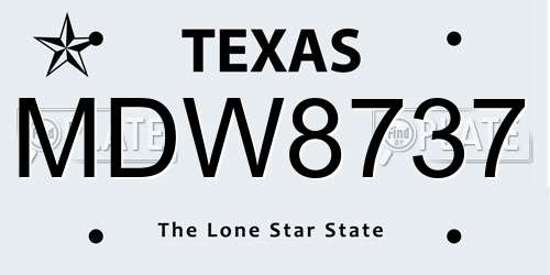MDW8737 Texas License Plate