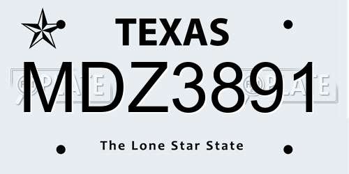 MDZ3891 Texas License Plate