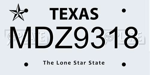 MDZ9318 Texas License Plate