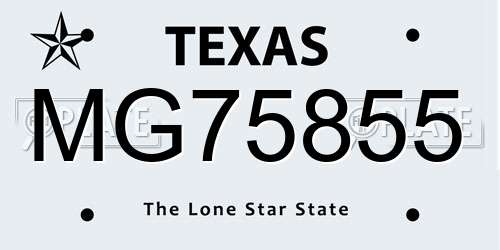 MG75855 Texas License Plate