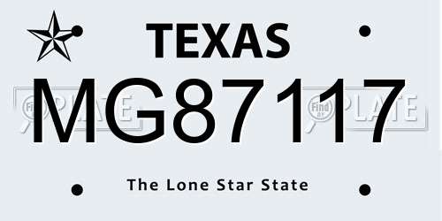 MG87117 Texas License Plate