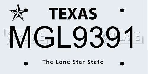 MGL9391 Texas License Plate