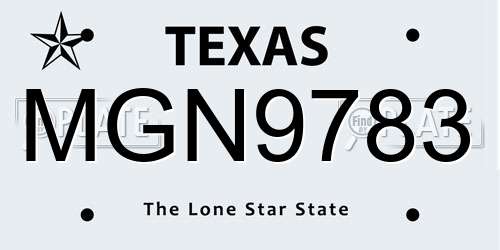 MGN9783 Texas License Plate