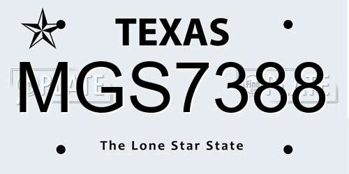 MGS7388 Texas License Plate